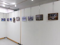 484_7806.JPG
